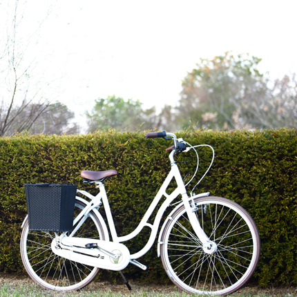 PANNIER BASKET
